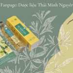 Trà Kim Ngân Hoa 30g (chai thủy tinh)