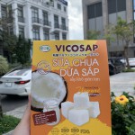 Sữa Chua Dừa Sáp Sấy Khô Giòn Tan [Hộp 25g]